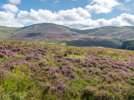 The Angus Glens Circuit