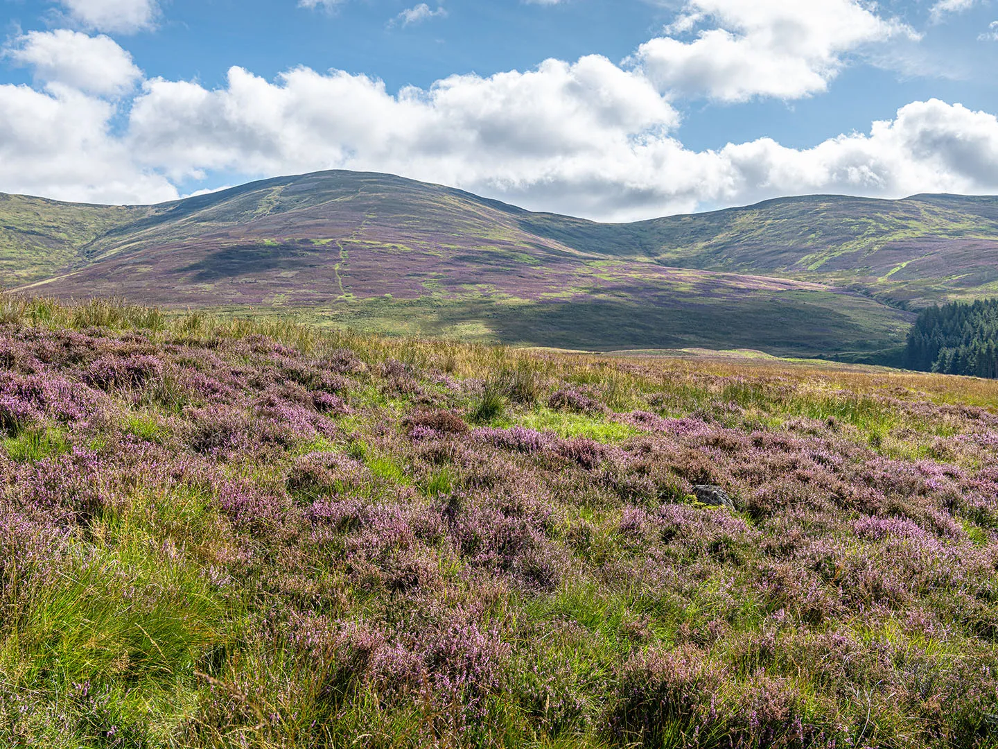The Angus Glens Circuit