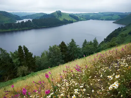 The Clywedog Gorge Trail
