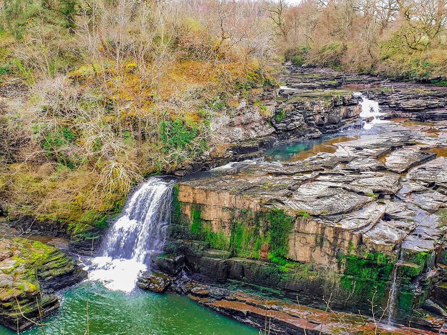 The Falls of Clyde Walk