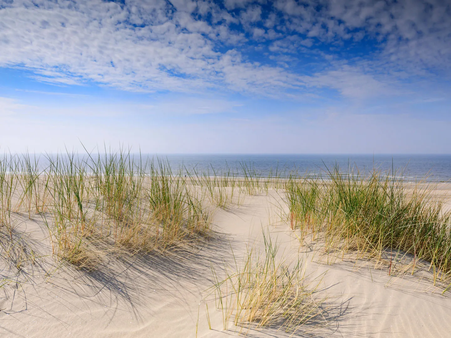 The Hague Dune Trail