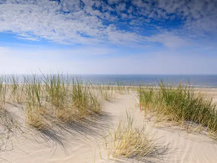 The Hague Dune Trail
