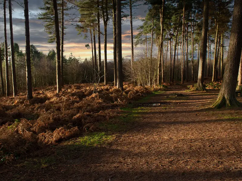 The Sandstone Trail
