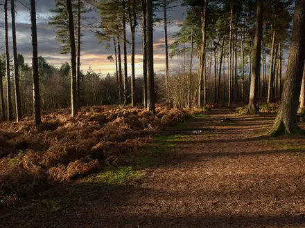 The Sandstone Trail
