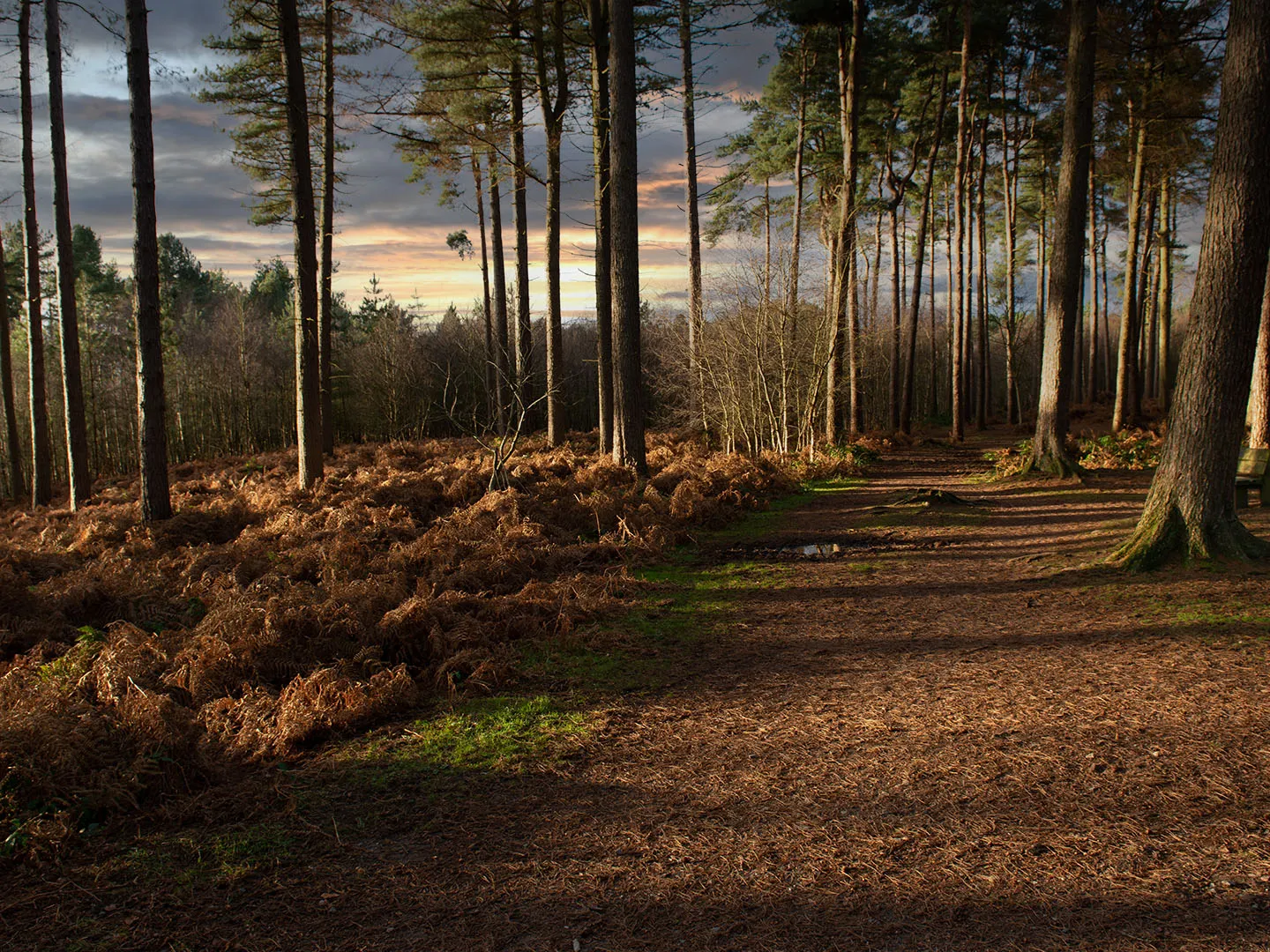 The Sandstone Trail