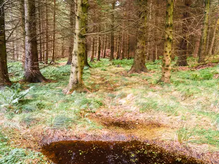 The Sma’ Glen Trail