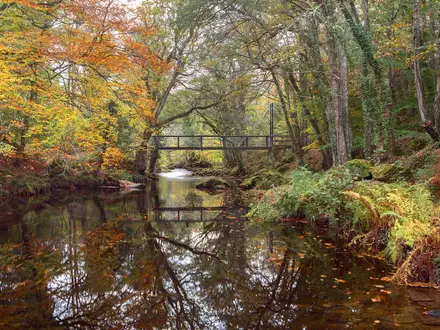 The Teign Gorge Walk