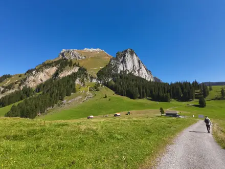 Toggenburg Panorama Trail