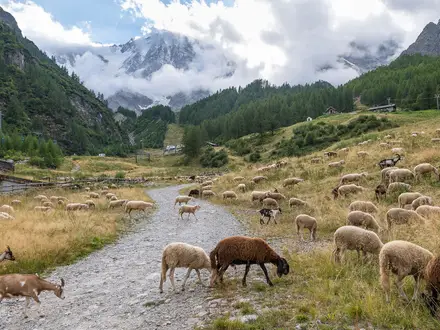 Tour del Monte Rosa