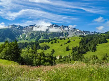 Trans Swiss Trail (Route 2)