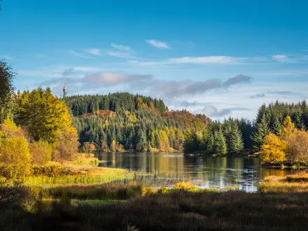 Trossachs Trail