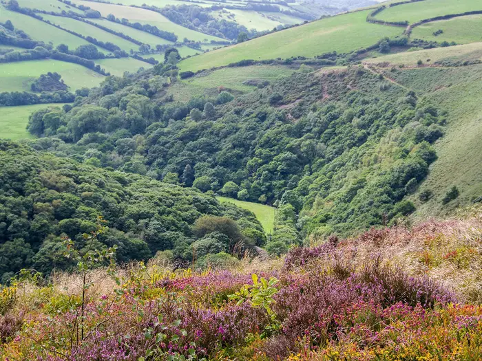Two Moors Way