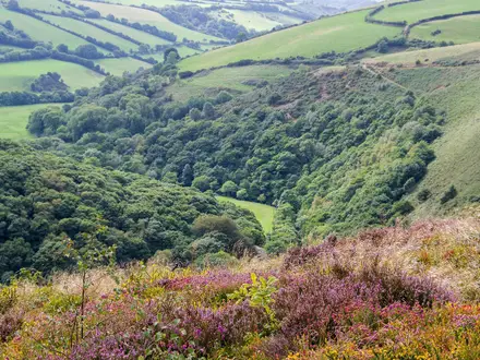 Two Moors Way