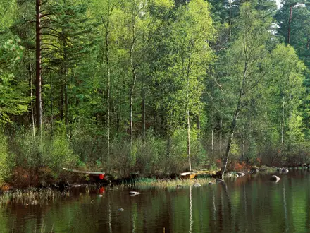 Utvandrarleden (Emigrant Trail)