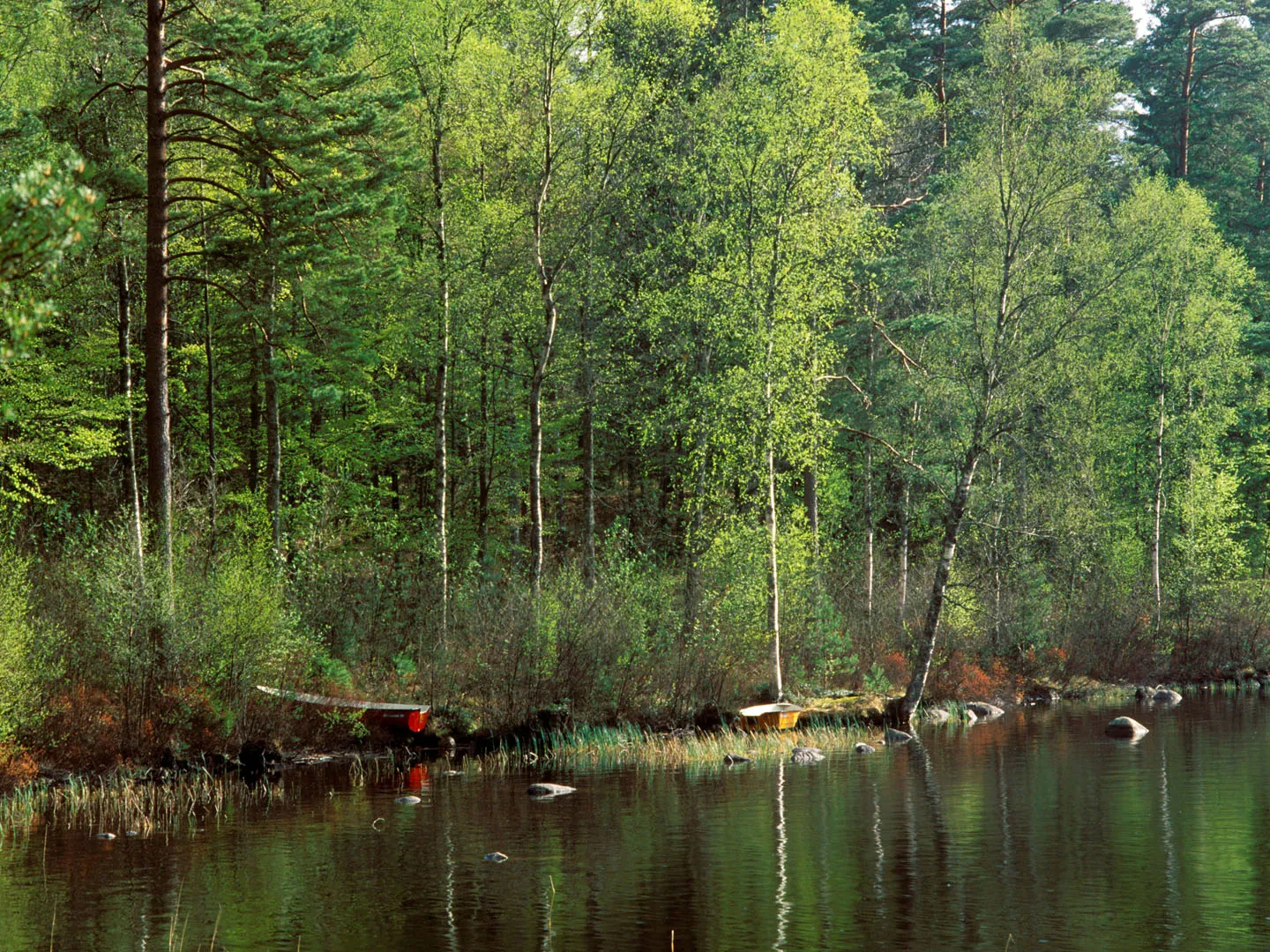 Utvandrarleden (Emigrant Trail)