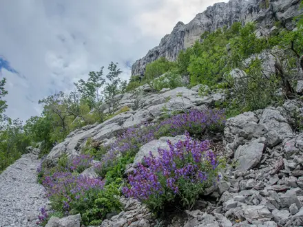 Velika Paklenica to Manita Peć