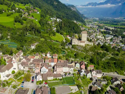Via Alpina (Swiss Section)