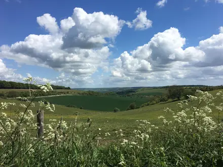 Wessex Ridgeway