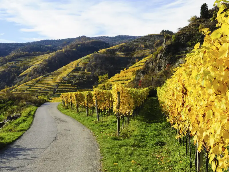 World Heritage Trail Wachau