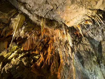 Yagodina Cave Loop