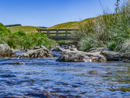 Ystwyth Trail