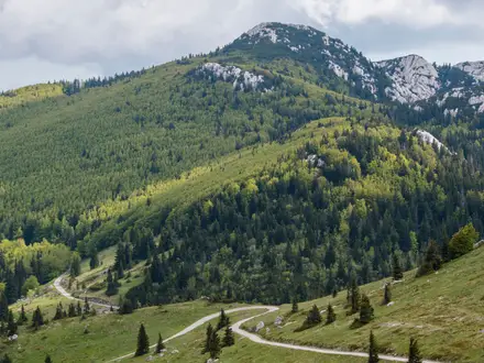 Zavižan to Alan Trail